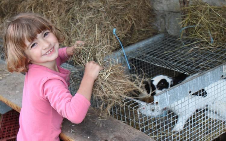Ferme Pedagogique " L'Bout D'Chemin" Villa Genevreuille ภายนอก รูปภาพ