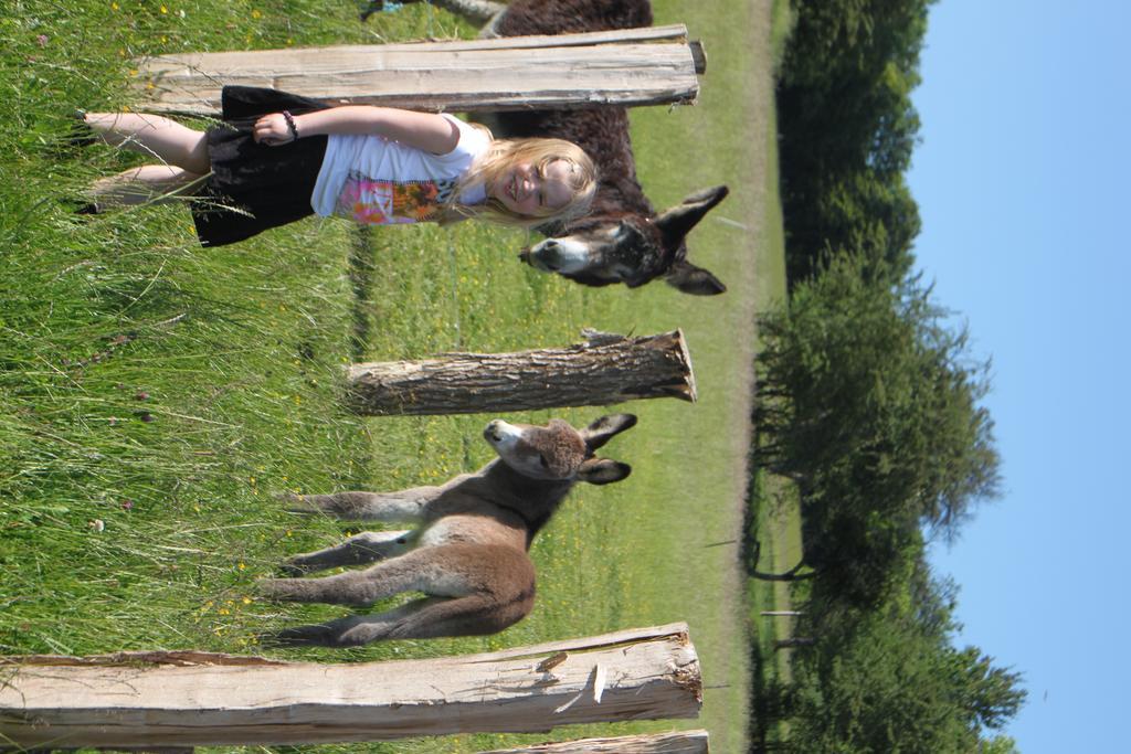 Ferme Pedagogique " L'Bout D'Chemin" Villa Genevreuille ภายนอก รูปภาพ