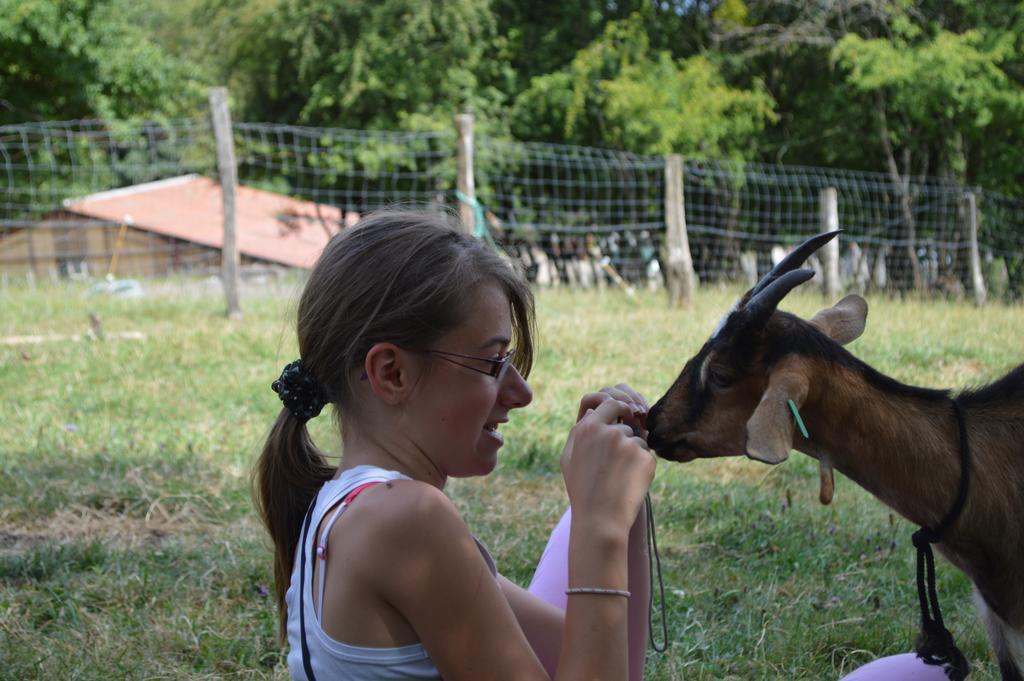 Ferme Pedagogique " L'Bout D'Chemin" Villa Genevreuille ภายนอก รูปภาพ